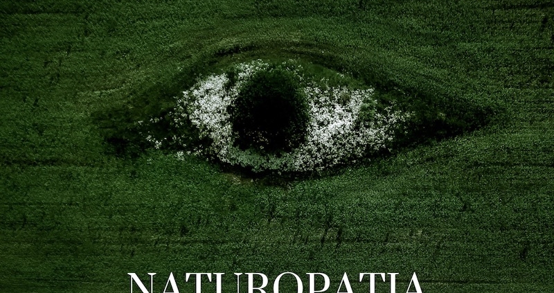 Naturopatia corpo ed emozioni